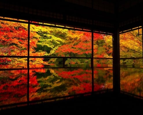 Autumn at Ruriko-in Temple, Kyoto