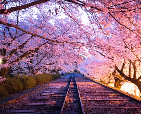 The Sagano Romantic train, Kyoto