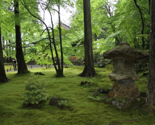 Sanzen-in moss garden