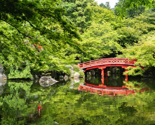 Traditional Japanese garden Daigo-ji